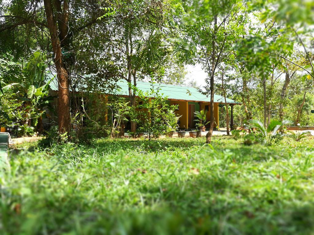 Sigiri La Veranda Lodge Kibissa ภายนอก รูปภาพ