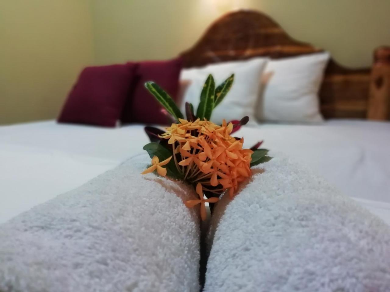 Sigiri La Veranda Lodge Kibissa ภายนอก รูปภาพ