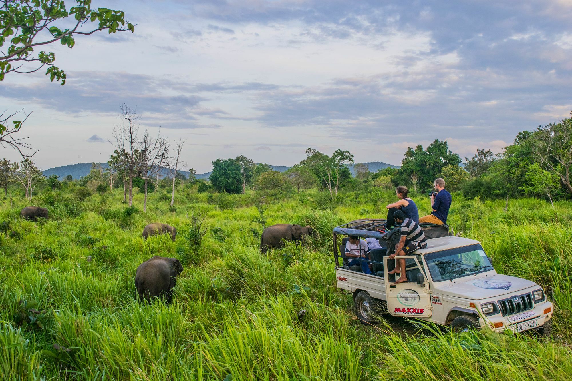 Sigiri La Veranda Lodge Kibissa ภายนอก รูปภาพ